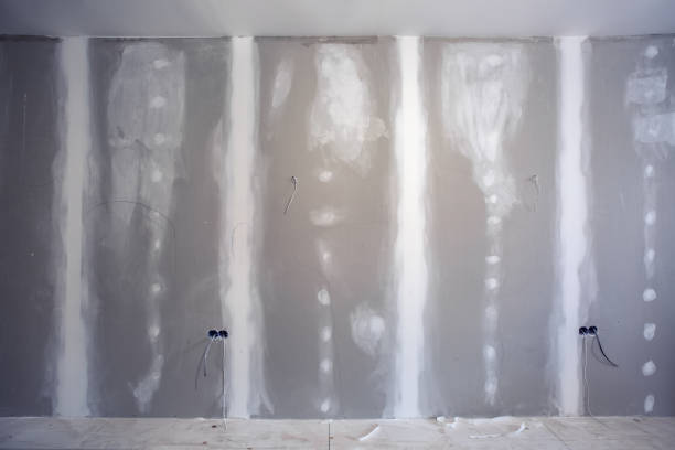 Best Drywall Installation  in Lineville, AL